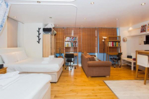 Spacious Studio Apartment in Kennington